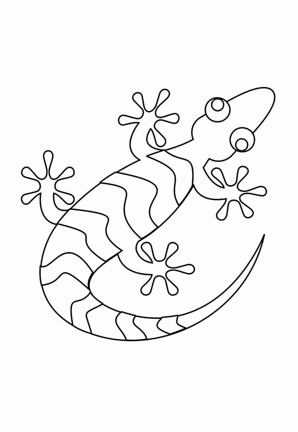 Desenho de Lagartixa Desenho Colorir Imprimir 14