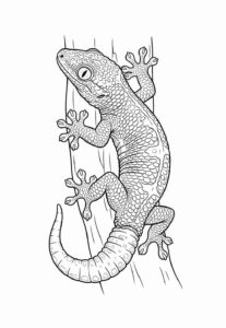 Desenho de Lagartixa Desenho Colorir Imprimir 15