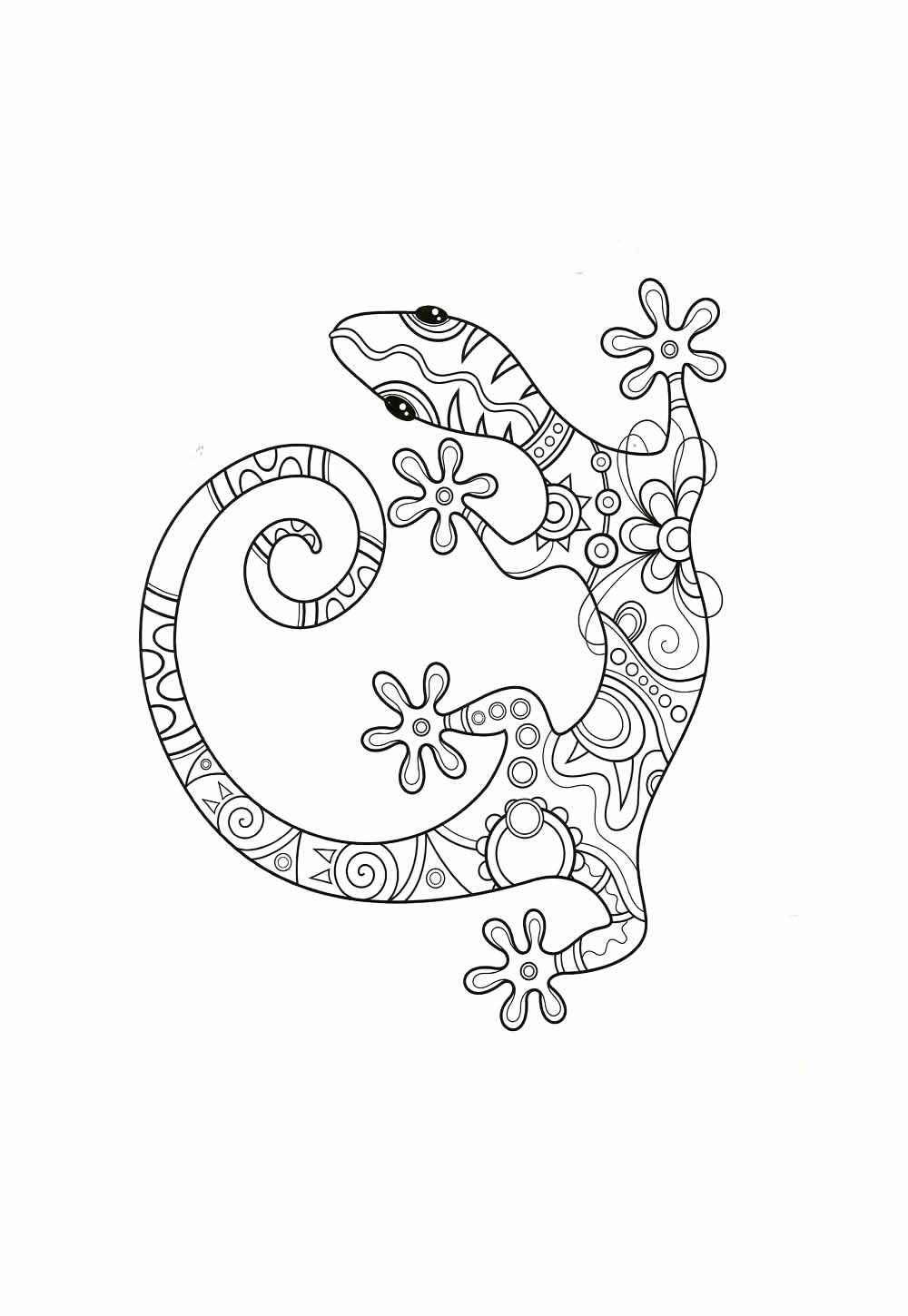 Desenho de Lagartixa Desenho Colorir Imprimir 16