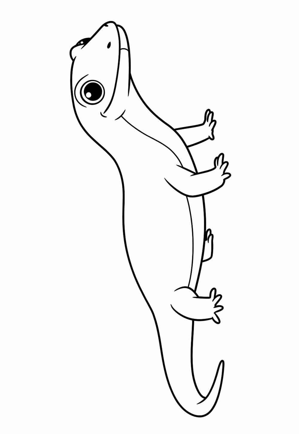 Desenho de Lagartixa Desenho Colorir Imprimir 19