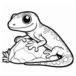 Desenho de Lagartixa Desenho Colorir Imprimir 20