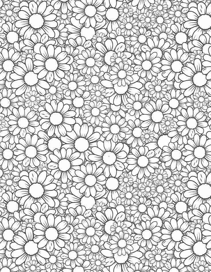Desenho de Margarida Desenho Colorir Imprimir 03