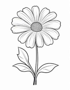 Desenho de Margarida Desenho Colorir Imprimir 25