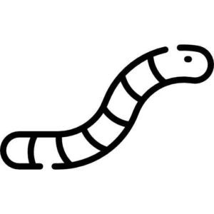 Desenho de Minhoca Desenho Colorir Imprimir 02
