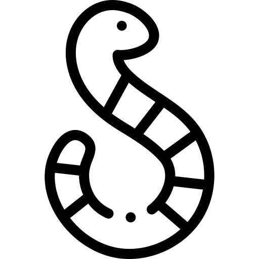 Desenho de Minhoca Desenho Colorir Imprimir 05