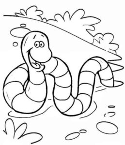 Desenho de Minhoca Desenho Colorir Imprimir 10