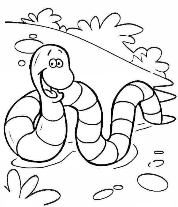 Desenho de Minhoca Desenho Colorir Imprimir 10