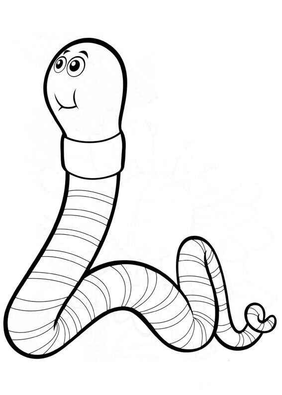 Desenho de Minhoca Desenho Colorir Imprimir 17