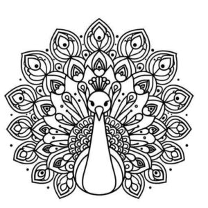 Desenho de Pavão Desenho Colorir Imprimir 06