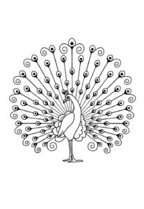 Desenho de Pavão Desenho Colorir Imprimir 19