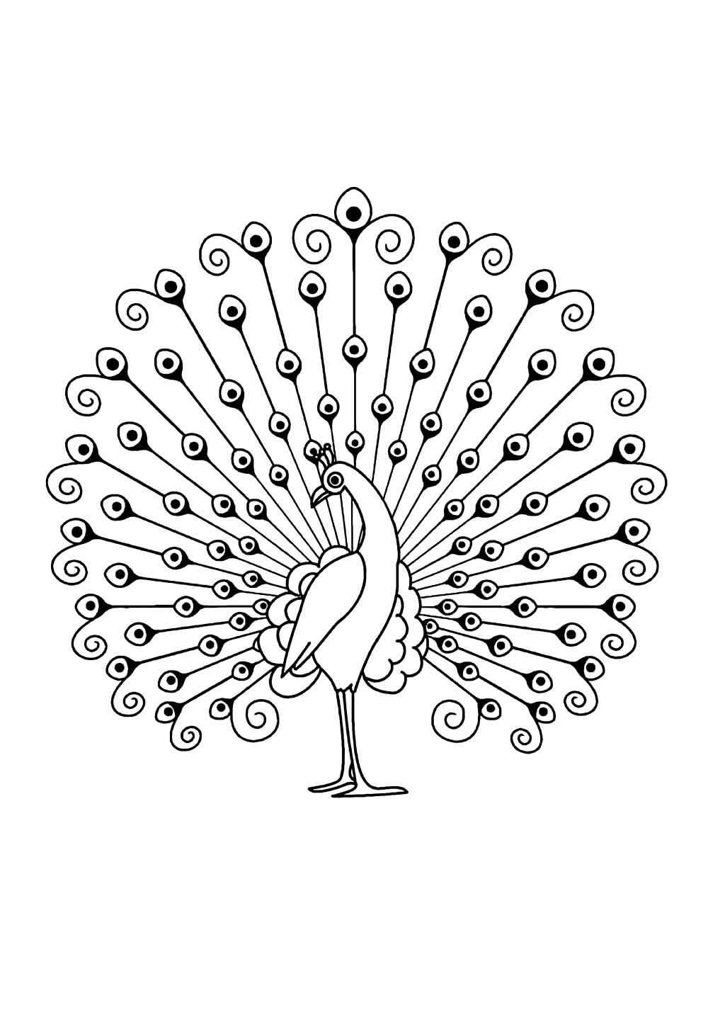 Desenho de Pavão Desenho Colorir Imprimir 19