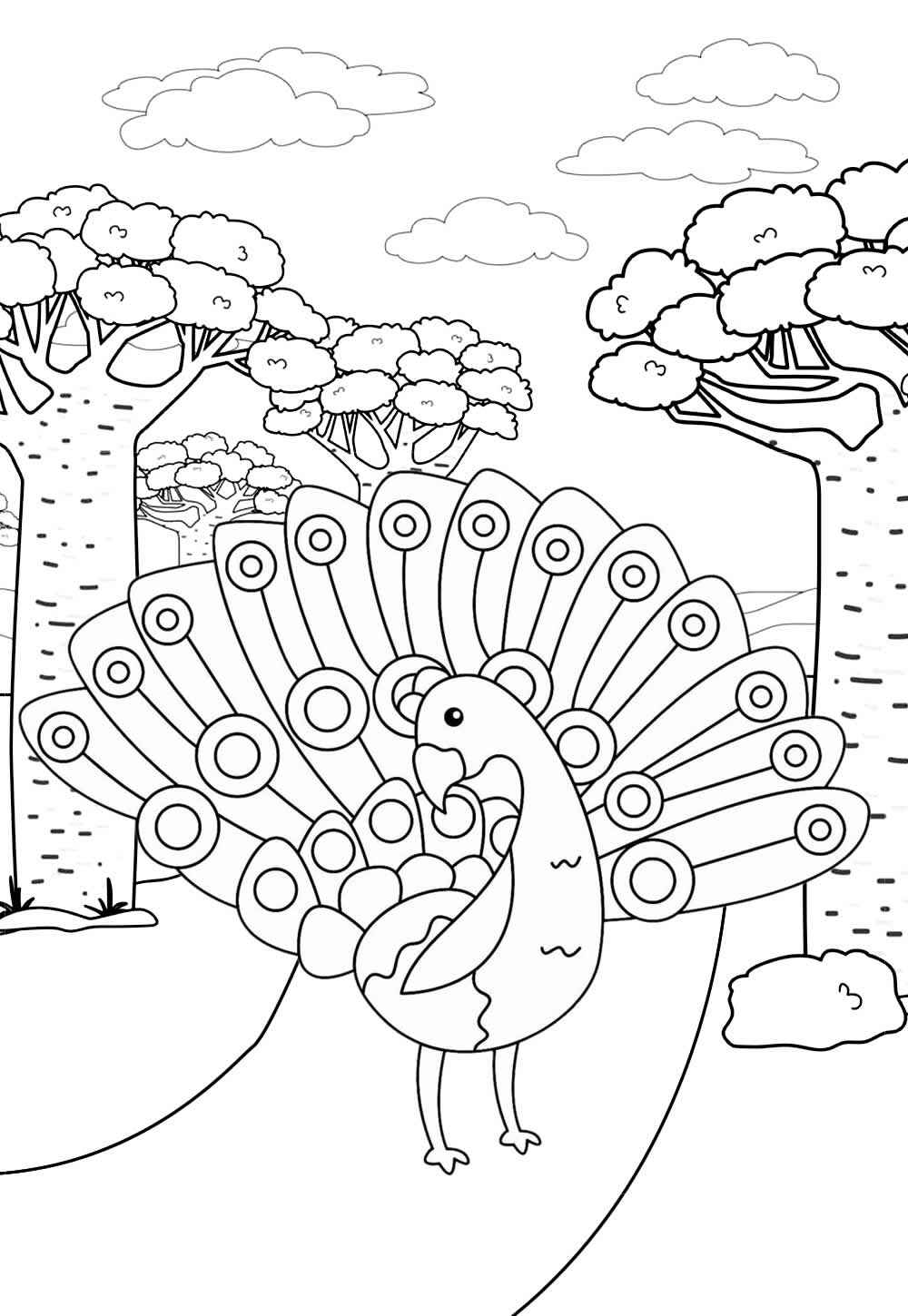 Desenho de Pavão Desenho Colorir Imprimir 21