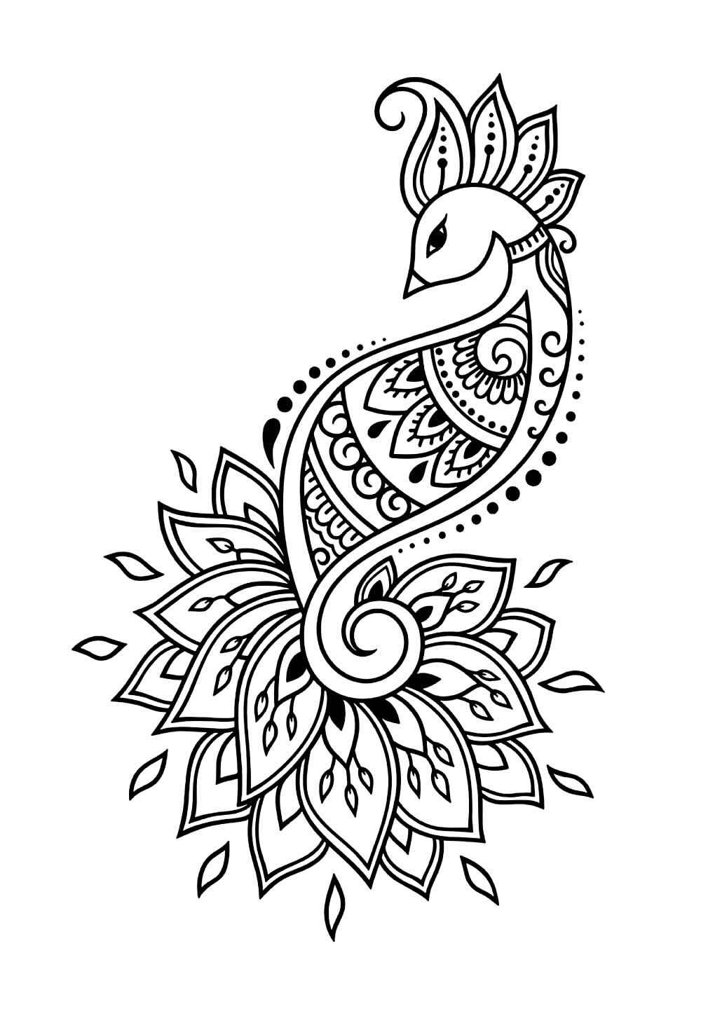 Desenho de Pavão Desenho Colorir Imprimir 28