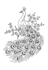 Desenho de Pavão Desenho Colorir Imprimir 31