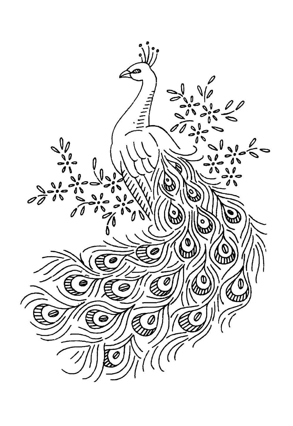 Desenho de Pavão Desenho Colorir Imprimir 31