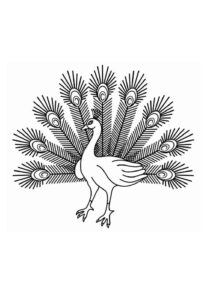 Desenho de Pavão Desenho Colorir Imprimir 38