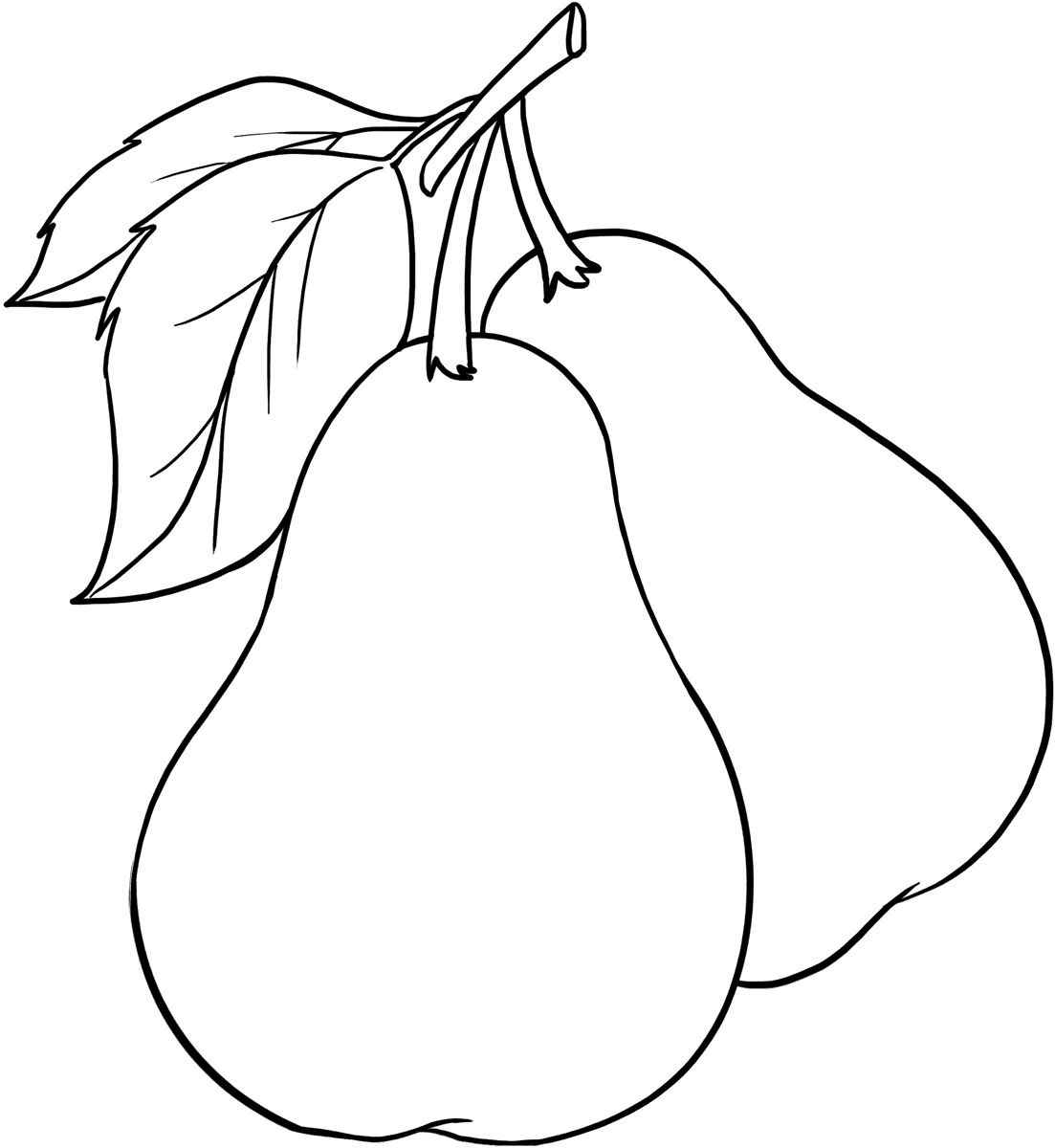 Desenho de Pera Desenho Colorir Imprimir 01