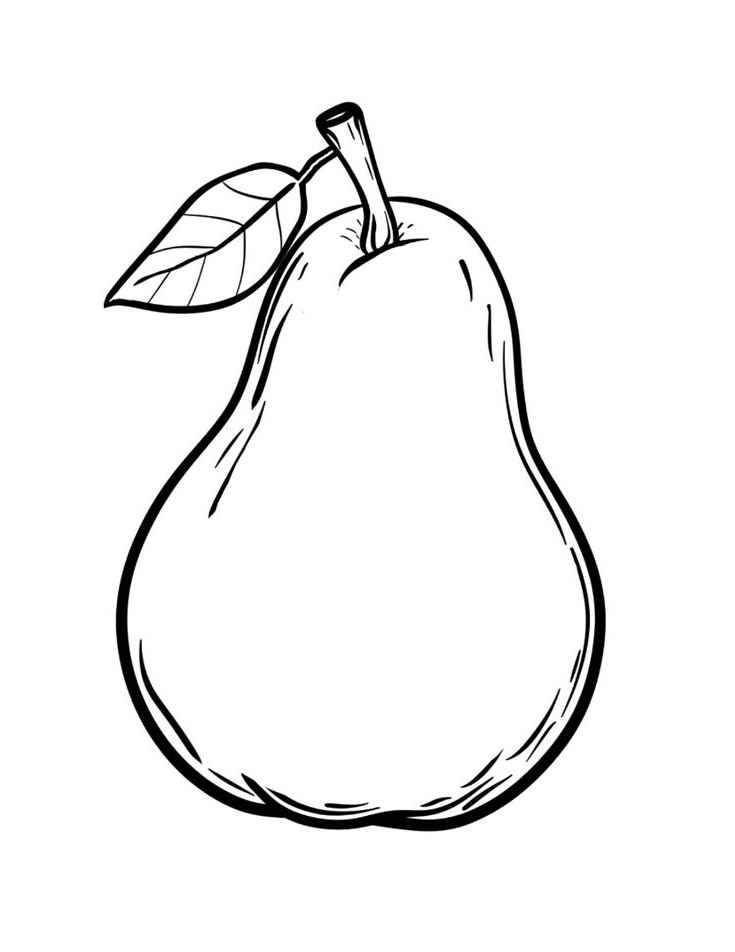 Desenho de Pera Desenho Colorir Imprimir 11