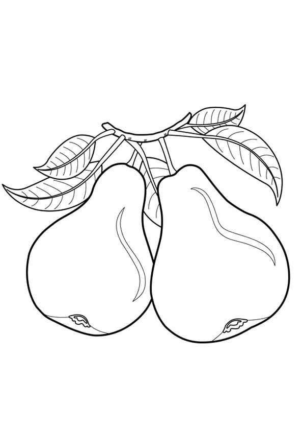 Desenho de Pera Desenho Colorir Imprimir 12