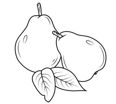 Desenho de Pera Desenho Colorir Imprimir 17
