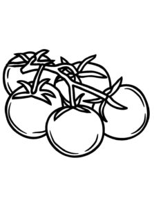Desenho de Tomate Desenho Colorir Imprimir 03