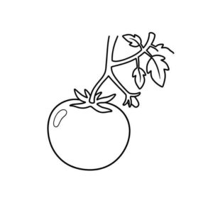Desenho de Tomate Desenho Colorir Imprimir 06