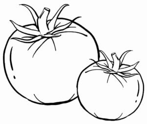 Desenho de Tomate Desenho Colorir Imprimir 26