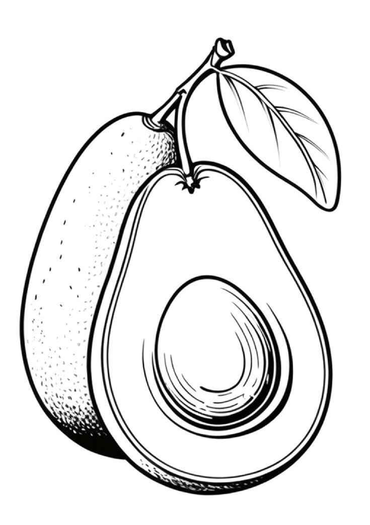 Desenho de Abacate Desenho Colorir Imprimir 03