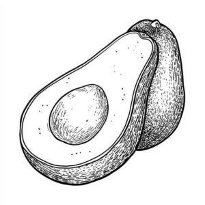 Desenho de Abacate Desenho Colorir Imprimir 05