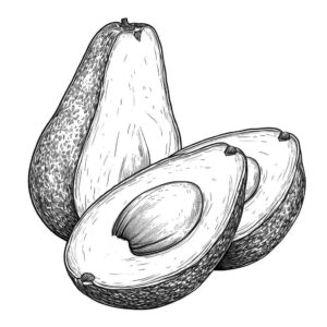 Desenho de Abacate Desenho Colorir Imprimir 10