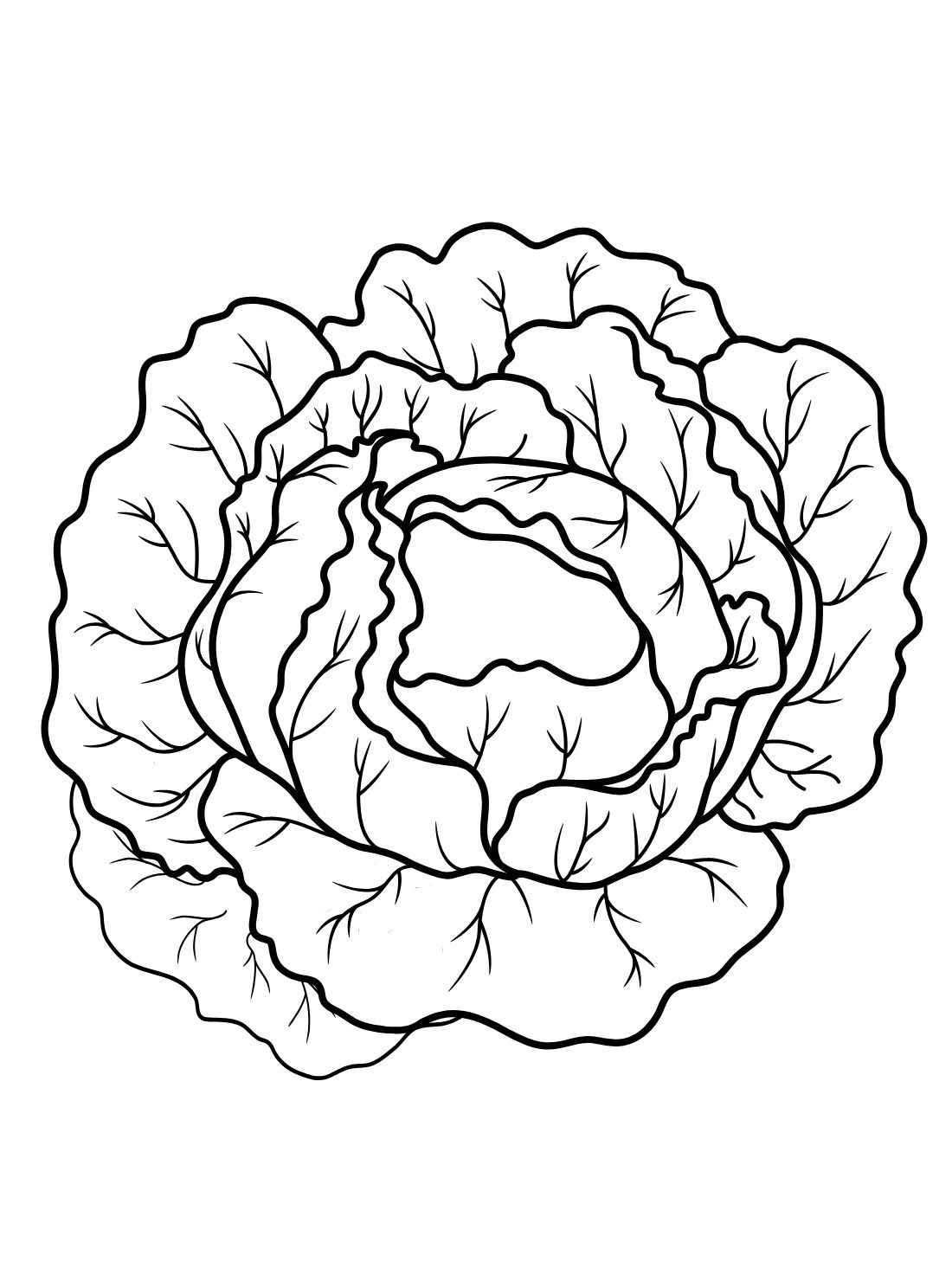 Desenho de Alface Desenho Colorir Imprimir 01