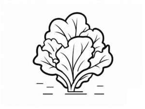 Desenho de Alface Desenho Colorir Imprimir 06