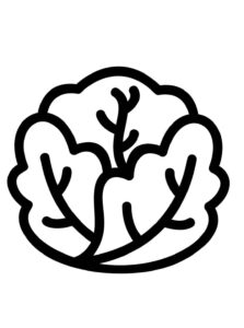 Desenho de Alface Desenho Colorir Imprimir 08