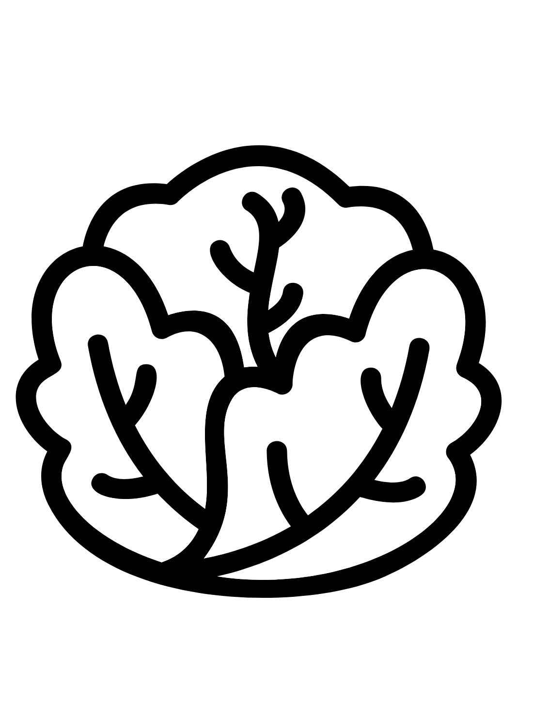 Desenho de Alface Desenho Colorir Imprimir 08