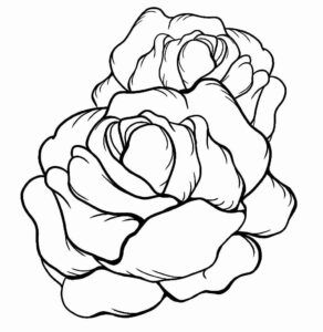 Desenho de Alface Desenho Colorir Imprimir 11