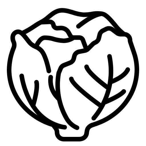 Desenho de Alface Desenho Colorir Imprimir 12