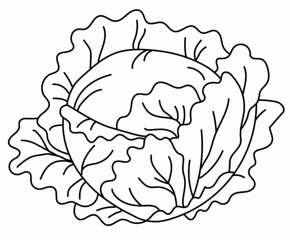 Desenho de Alface Desenho Colorir Imprimir 17