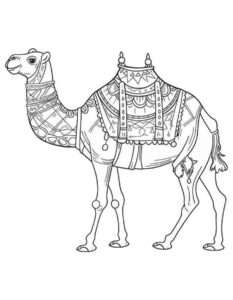 Desenho de Camelo Desenho Colorir Imprimir 06