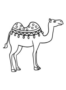 Desenho de Camelo Desenho Colorir Imprimir 07