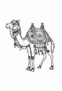 Desenho de Camelo Desenho Colorir Imprimir 10