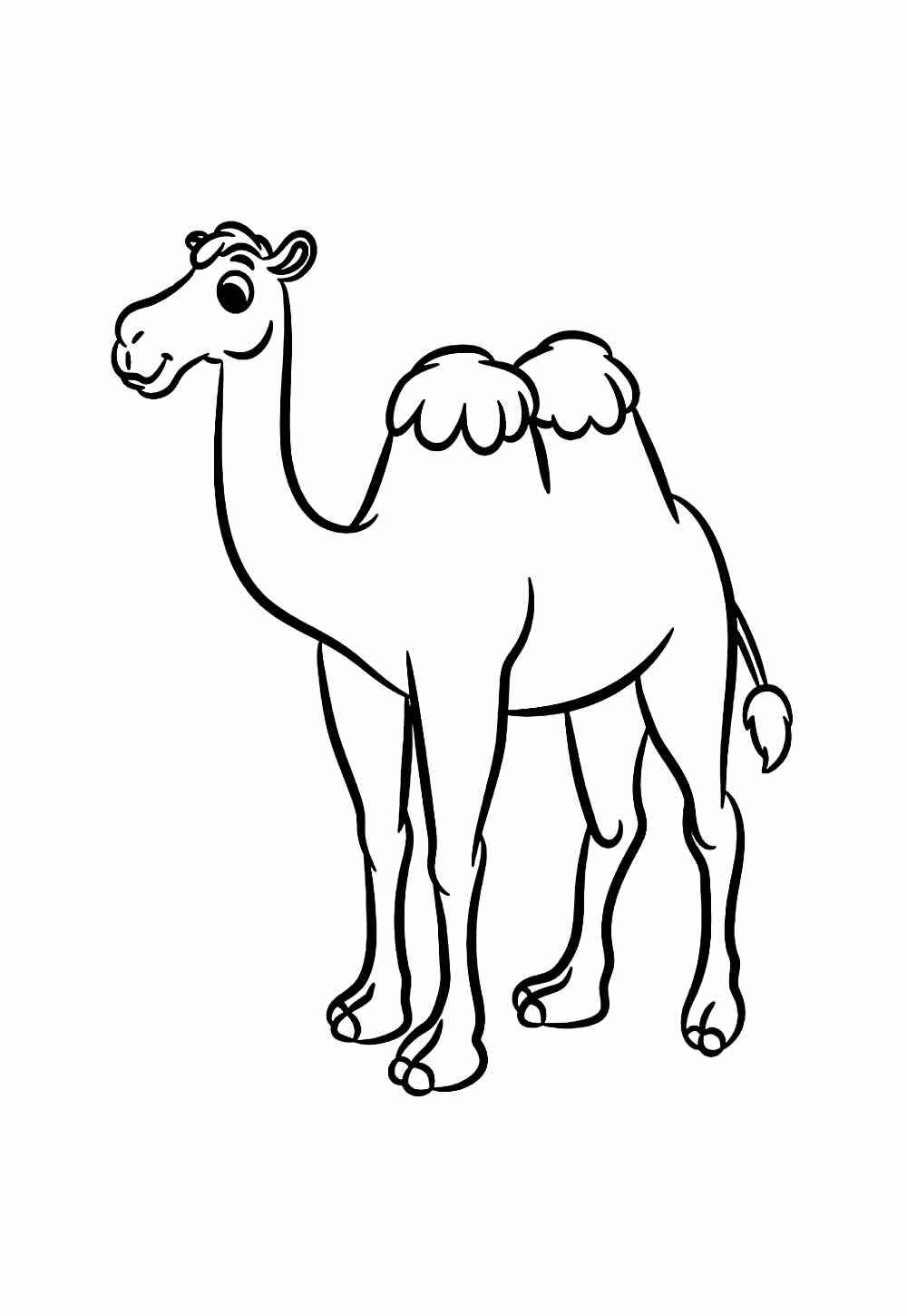 Desenho de Camelo Desenho Colorir Imprimir 16