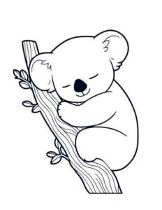 Desenho de Coala Desenho Colorir Imprimir 15