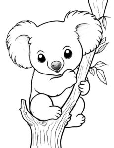 Desenho de Coala Desenho Colorir Imprimir 38