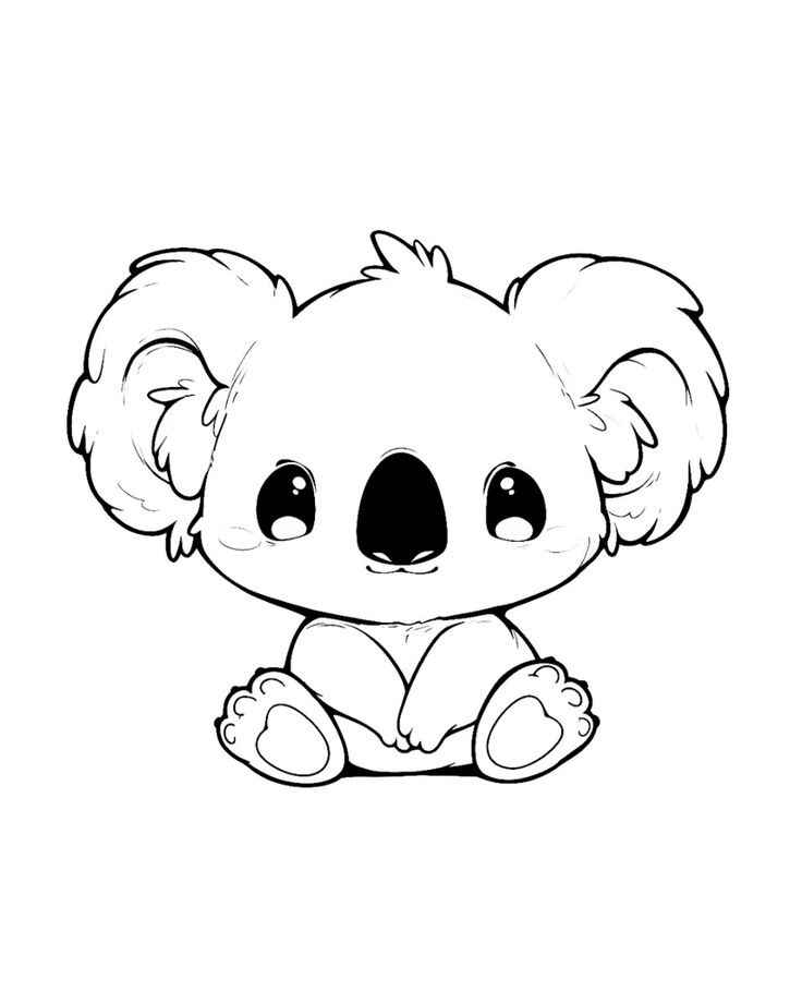 Desenho de Coala Desenho Colorir Imprimir 41