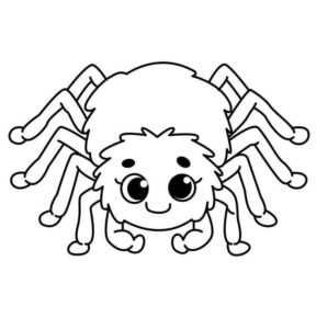 Desenho de Dona Aranha Desenho Colorir Imprimir 16