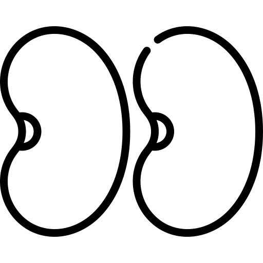 Desenho de Feijão Desenho Colorir Imprimir 07