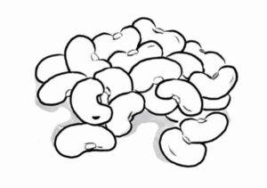 Desenho de Feijão Desenho Colorir Imprimir 09