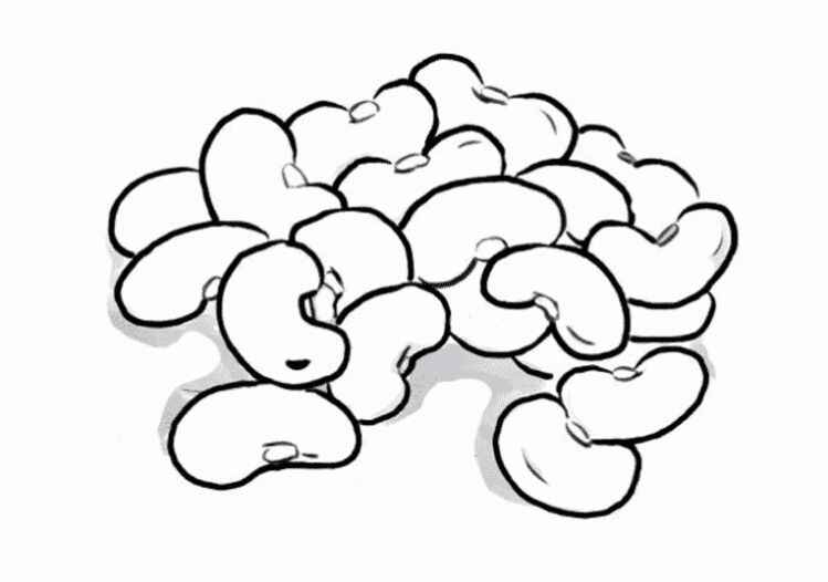 Desenho de Feijão Desenho Colorir Imprimir 09