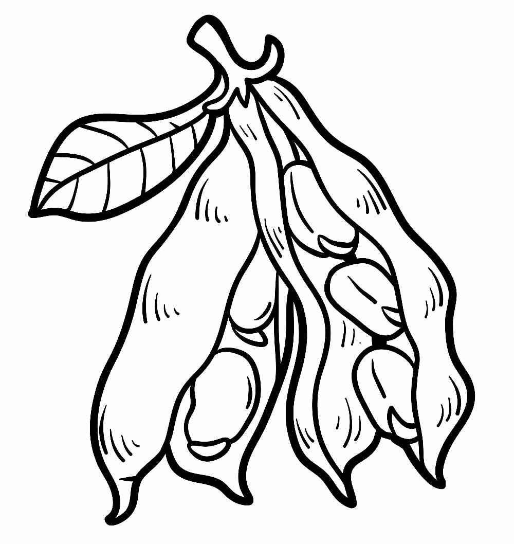 Desenho de Feijão Desenho Colorir Imprimir 15