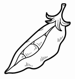 Desenho de Feijão Desenho Colorir Imprimir 17